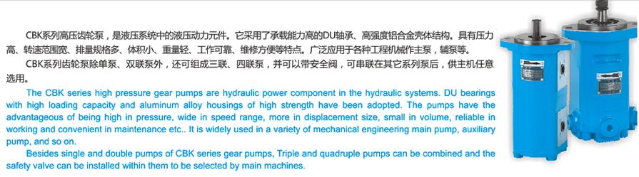CBK1系列高压齿轮泵